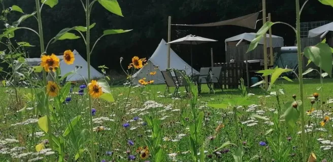 Eco-Glamping "Au Pré Fleuri"